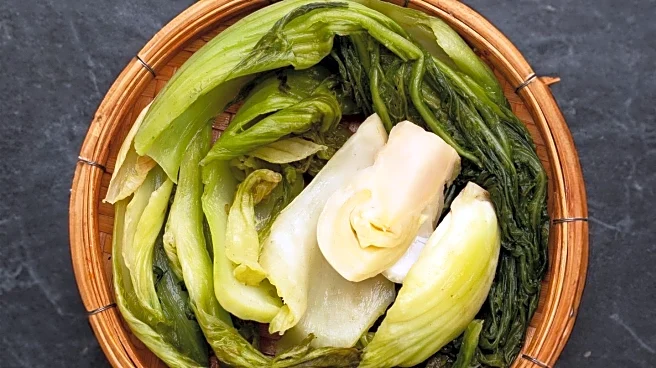 Expert Advises Against Supplements for Picky Eater Kids, Emphasizes Balanced Diet