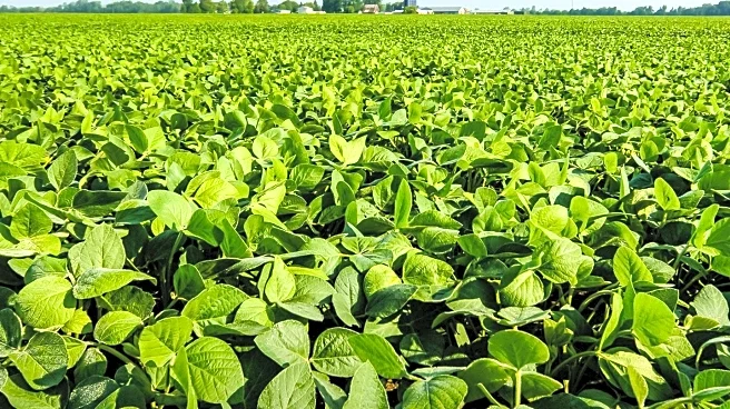 Women in Agriculture Conference Hosts Workshops on Health, Finance, and Farming