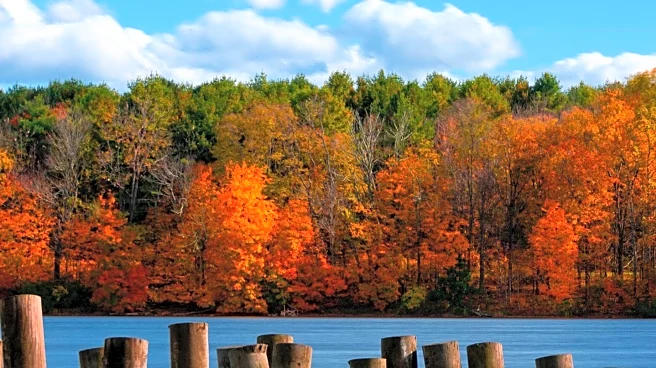 Maine's Fall Colors Captured in Stunning Nature Footage