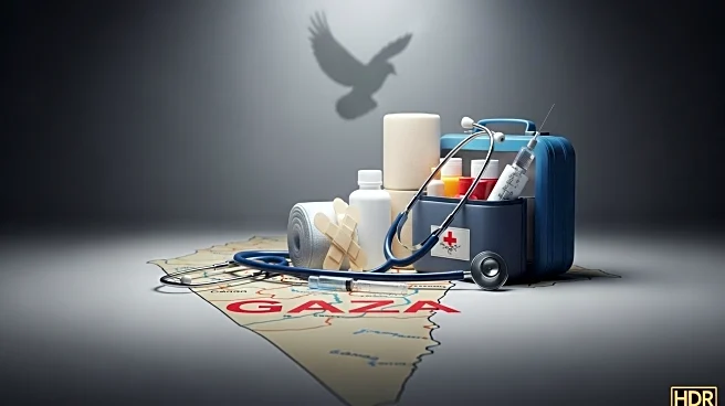 Emergency Physician Highlights Urgent Need for Humanitarian Aid in Gaza Post-Peace Deal