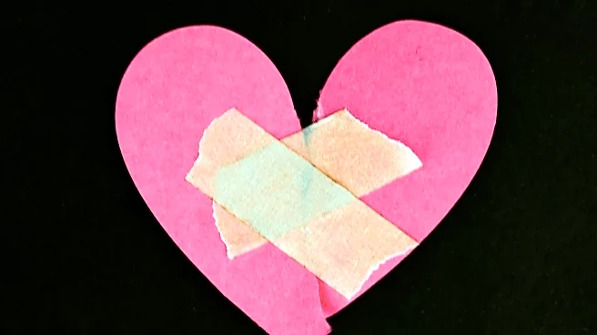 Psychology Identifies Habits for Emotional Resilience in Individuals Without Life Partners