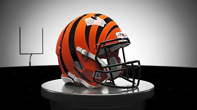 Cincinnati Bengals Contact Derek Carr Amid Quarterback Search, Opt for Joe Flacco