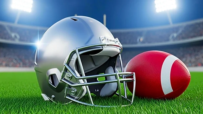 Falcons Defeat Bills 24-14 in Monday Night Football