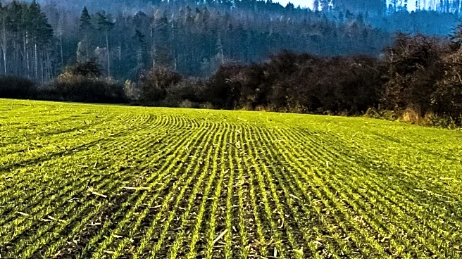 Winter Cover Crop Planting Promotes Soil Health and Carbon Sequestration