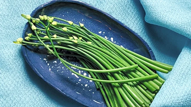 Vogue Highlights Zinc-Rich Foods to Boost Immunity During Flu Season