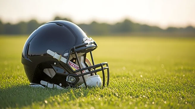 Former NFL Player Larry Williams Dies at 62 During Workout at USF Campus