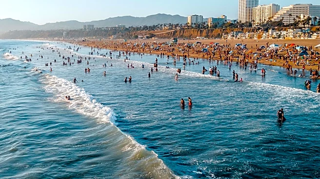 Exploring Los Angeles' Best Beaches for Surf and Relaxation