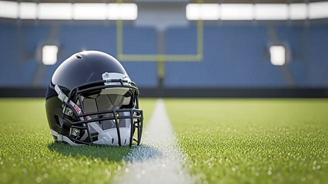 Houston Texans' Nico Collins Suffers Concussion in Loss to Seahawks