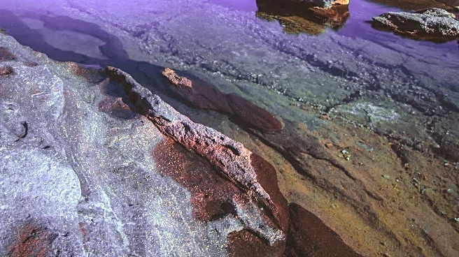 Orionid Meteor Shower Peaks: Viewing Guide for Halley's Comet Debris