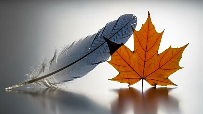 Blue Jays and Maple Leafs Show Mutual Support Amid World Series Run