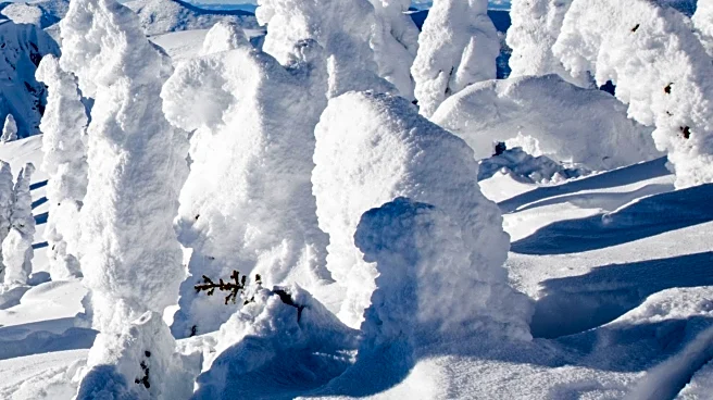 Powder Mountain Resort Unveils Major Land Art Installations, Enhancing Cultural Tourism