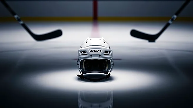 Predators' Brady Martin: Returned to OHL Following NHL Stint