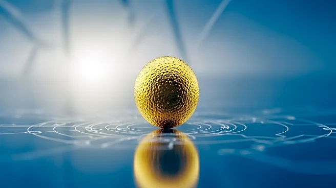 Gold Nanoparticles Enhance Kidney Imaging and Repair in Mouse Model