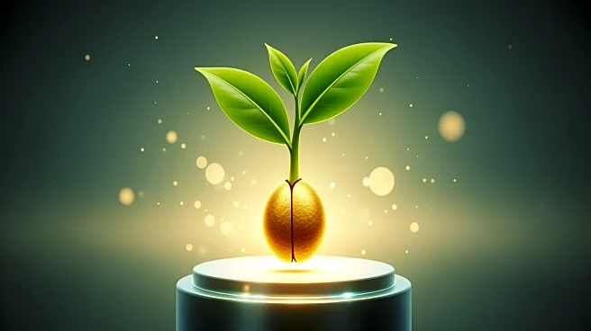 ANA's Nick Primola Advocates for Growth-Focused Marketing Strategies