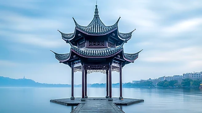Expert Calls for Enhanced Standards in Chinese Medicine Manufacturing