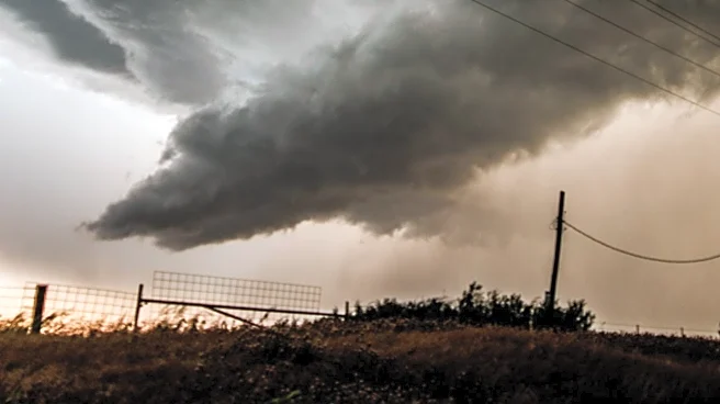 New Zealand Declares Emergency Amid Severe Spring Storm
