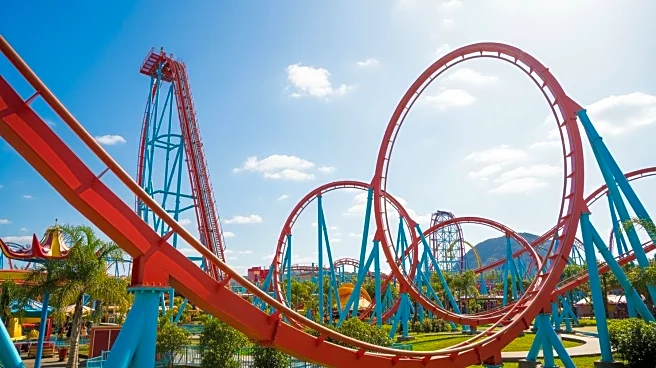 Travis Kelce Invests in Six Flags to Revitalize Amusement Park Operator