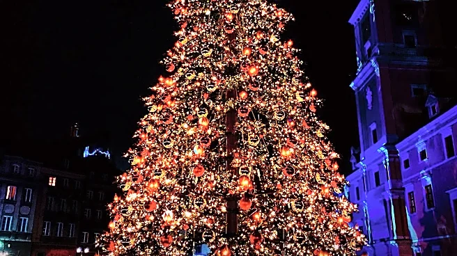 Citadel Outlets Welcomes 115-Foot Christmas Tree with Santa's Supervision