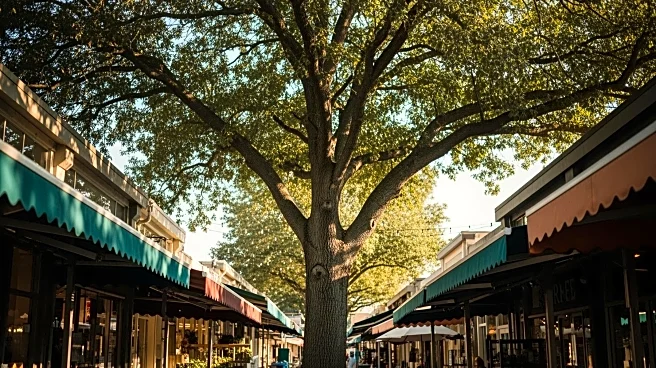 Resilient U.S. Consumer Poses Challenges for Retail and Restaurant Investments