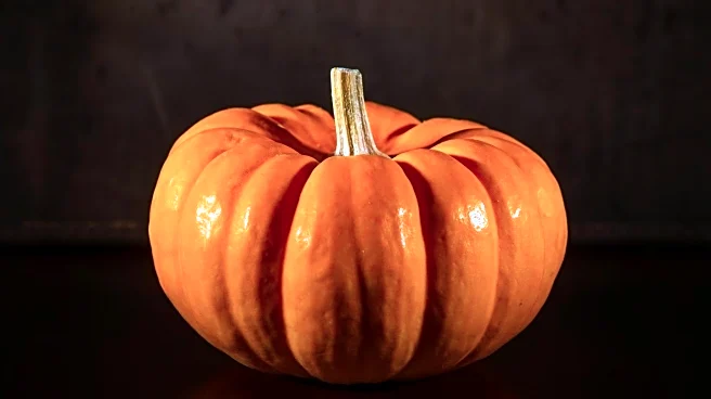 Pumpkin Festival Near Berlin Celebrates Powerful Women Through Art