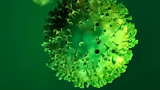 NanoViricides Announces NV-387's Strong Antiviral Activity Against Measles