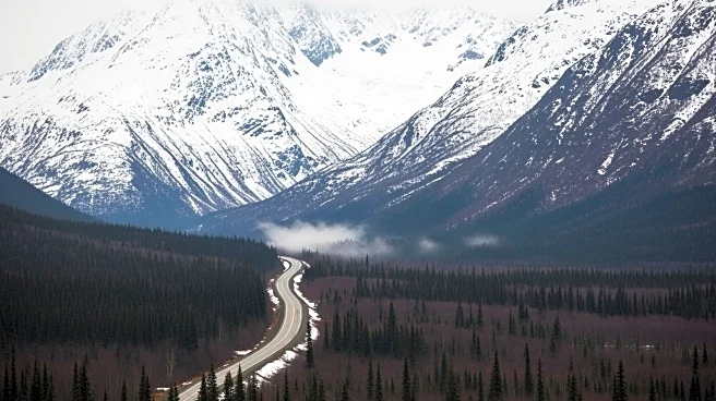 Trump Administration Approves Road Construction Through Alaskan Wildlife Refuge