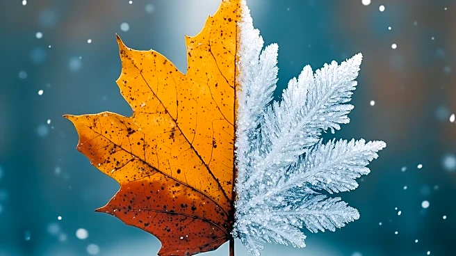 WBZ Provides Updated Weather Forecast Amid Seasonal Changes