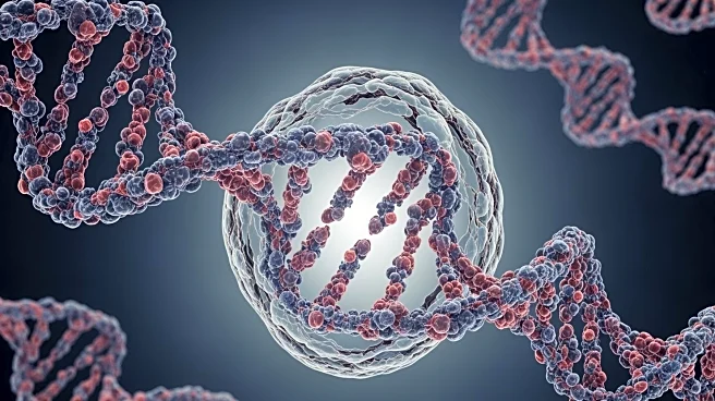 RNA Structure Research Enhances Cas13 Activity and Mismatch Detection