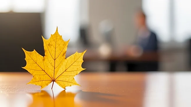 Maple Donuts Appoints New CEO to Drive Growth