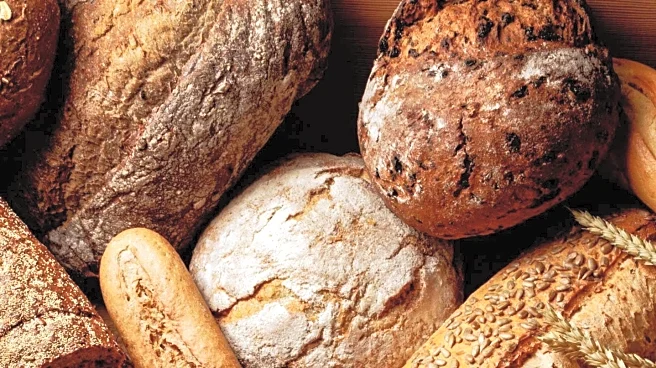 Study Finds Gluten Sensitivity Linked to Gut-Brain Interaction, Not Gluten