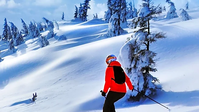 Powder Mountain Introduces Skiable Art Museum with Public-Private Model