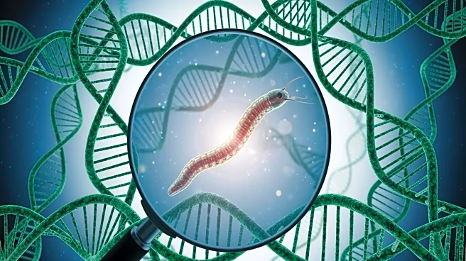 Research Team Uncovers DNA Hitchhiking Strategy in C. elegans with Implications for Regenerative Medicine