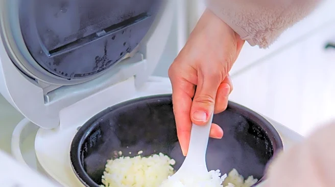 Air Fryers Revolutionize Cooking with Energy Efficiency and Health Benefits