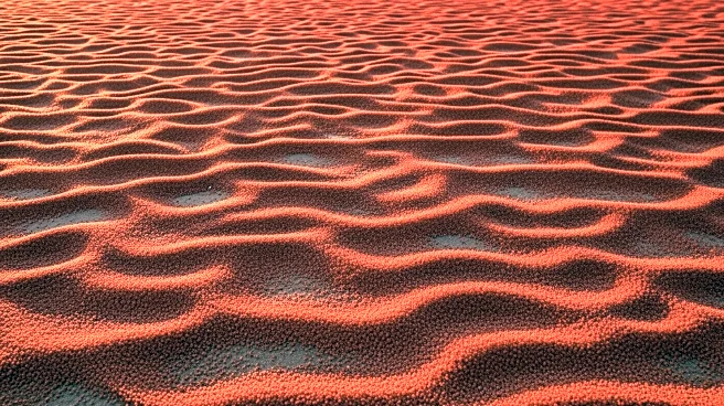 Annual Red Crab Migration on Christmas Island Captured in Stunning Video