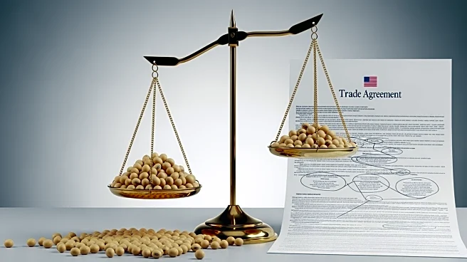 President Trump Faces Challenges in Rescuing U.S. Soybean Farmers Amid Trade War