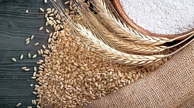 Whole Grains Council Survey Reveals Increased Consumer Preference for Whole Grain Foods