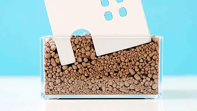 Viral Image of Sinking Sugar House Captivates Online Audience