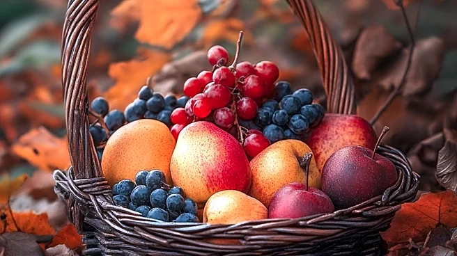 Four Zodiac Signs to Experience Abundance and Luck on October 24