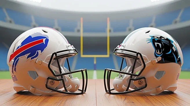 Buffalo Bills and Carolina Panthers: A Unique NFL Team Connection
