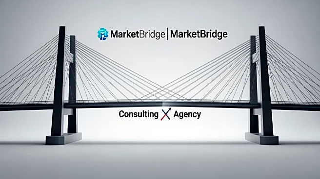 MarketBridge Pursues B2B Growth with Unique Consultancy-Agency Model