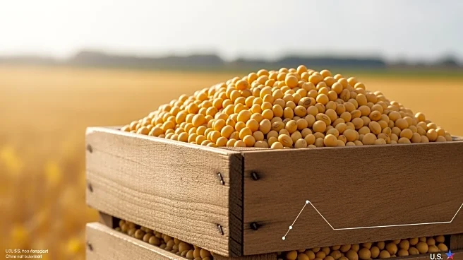 US Soybean Industry Faces Challenges Amid China's Boycott