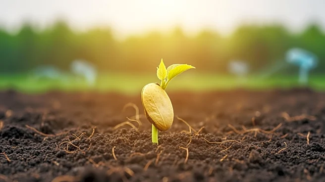 World Food Prize Foundation Calls for Bold Investments in Agrifood Systems at 2025 Borlaug Dialogue