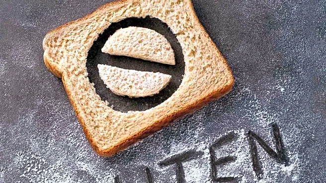 Study Reveals Gluten Sensitivity May Be Linked to Other Dietary Factors