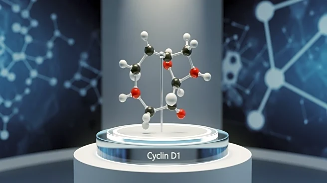 Circle Pharma Presents Preclinical Data on Cyclin D1 Program at International Cancer Conference