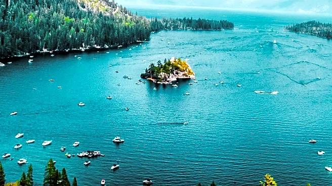 South Lake Tahoe Resident Proposes Bear Sanctuary Initiative