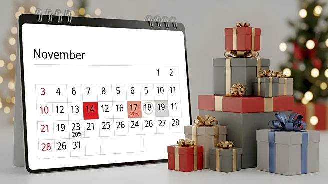 Costco Reveals 2025 Black Friday Sale Dates and Discounts