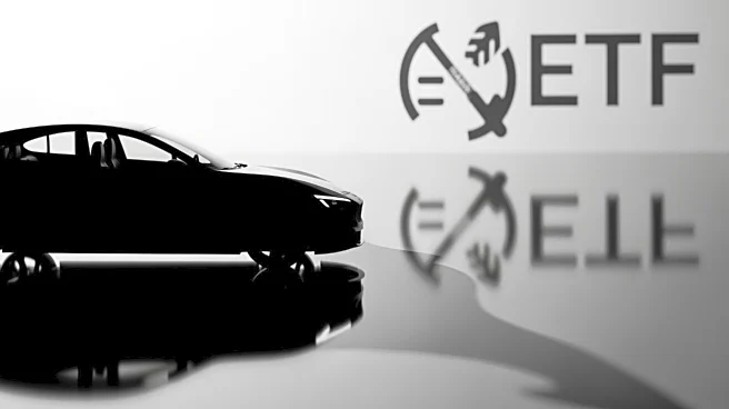 Tesla's Q3 Earnings Miss Expectations, Impacting ETFs with Significant Exposure