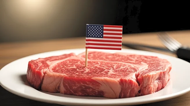 Beef Industry Criticizes President Trump's Argentine Import Plan