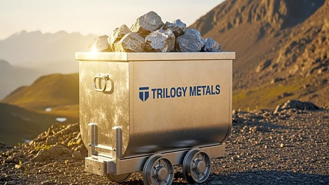 Trilogy Metals Sees Share Surge as U.S. Reinstates Ambler Road Permits