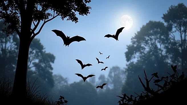 Greater Noctule Bats Use Advanced Hunting Techniques to Capture Birds